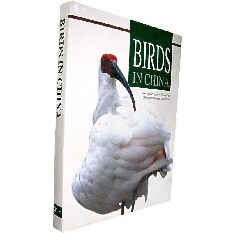 BIRDS IN CHINA