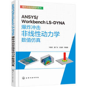 ANSYS/Workbench LS-DYNAը_Ǿ(xin)Ԅ(dng)W(xu)(sh)ֵ