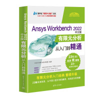 Ansys Workbench 2022İԪTͨ