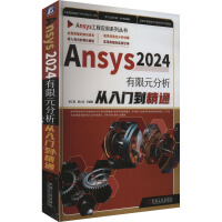 Ansys 2024ԪTͨ