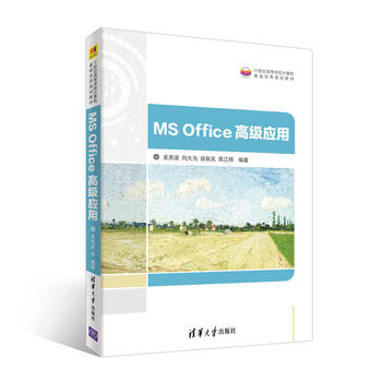 MS Office߼(yng)